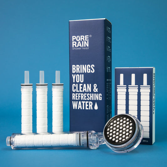 Shower Head + Filters Set